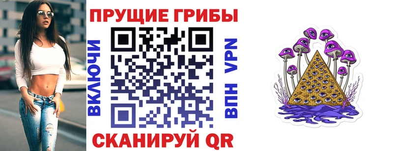 наркошоп Аргун Галлюциногенные грибы Cubensis