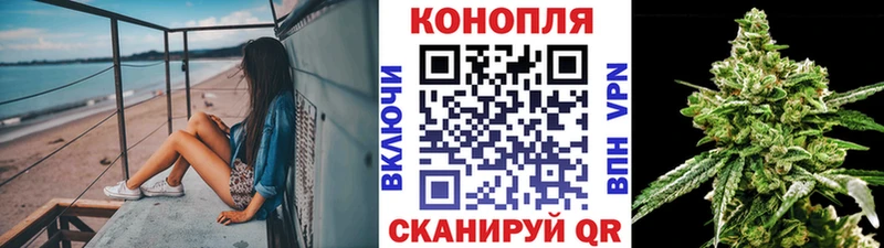 мега онион дарнет шоп Аргун МАРИХУАНА планчик